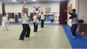 Poombalki, taekgyeon step, training van master Anyoung